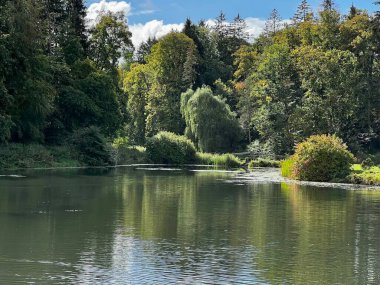 Sonbaharda ağaçların ve çalıların farklı renklerde olduğu bir park. Ağaçların su aynasında yansıyan gölün içinde.
