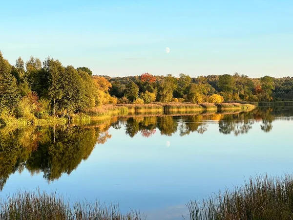 stock image park with different colors of trees and bushes in autumn inside a body of water in the water mirror reflection of trees a lot of water plants blue sky covered with clouds