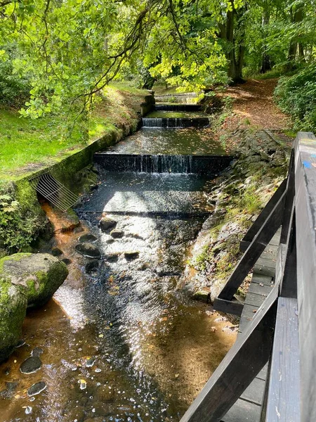 秋には木々や茂みの色が違う公園滝のある公園を流れる川 — ストック写真