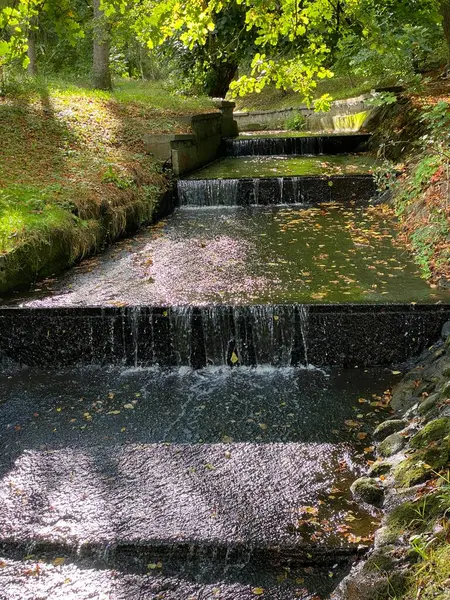 Park Mit Verschiedenen Farben Von Bäumen Und Sträuchern Herbst Ein — Stockfoto