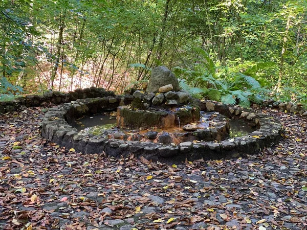 Épített Kövek Alakja Egy Kör Parkban Sok Őszi Levelek Színes — Stock Fotó