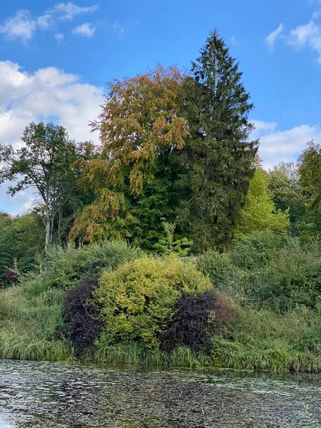 Ein Park Mit Verschiedenen Farben Von Bäumen Und Sträuchern Herbst — Stockfoto