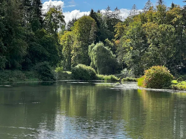 Sonbaharda ağaçların ve çalıların farklı renklerde olduğu bir park. Ağaçların su aynasında yansıyan gölün içinde.