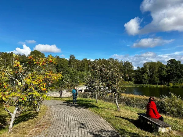 Sonbaharda çeşitli ağaç ve çalıların olduğu park Sonbaharın güzel renkleri