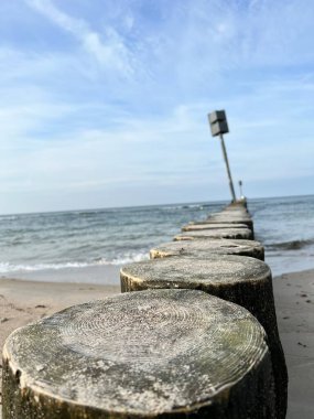 Sahili ve sahili deniz dalgalarından korumak için sıra sıra dizilmiş tahta yığınları.