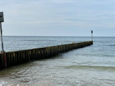 Sahili ve sahili deniz dalgalarından korumak için sıra sıra dizilmiş tahta yığınları.