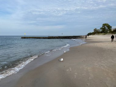 Sahili ve sahili deniz dalgalarından korumak için sıra sıra dizilmiş tahta yığınları.