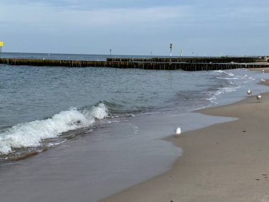 Sahili ve sahili deniz dalgalarından korumak için sıra sıra dizilmiş tahta yığınları.