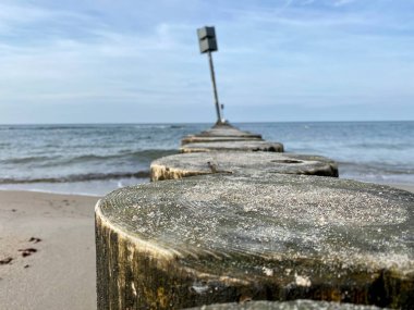 Sahili ve sahili deniz dalgalarından korumak için sıra sıra dizilmiş tahta yığınları.