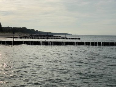 Sahili ve sahili deniz dalgalarından korumak için sıra sıra dizilmiş tahta yığınları.