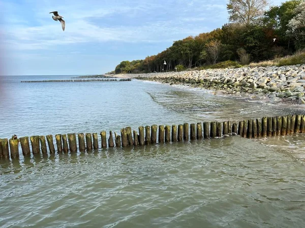 stock image wooden piles driven in rows to protect the shore and beaches from damage by sea waves