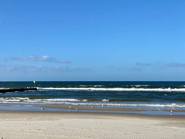 海の波による被害から海岸やビーチを守るために列に並ぶ木杭 — ストック写真