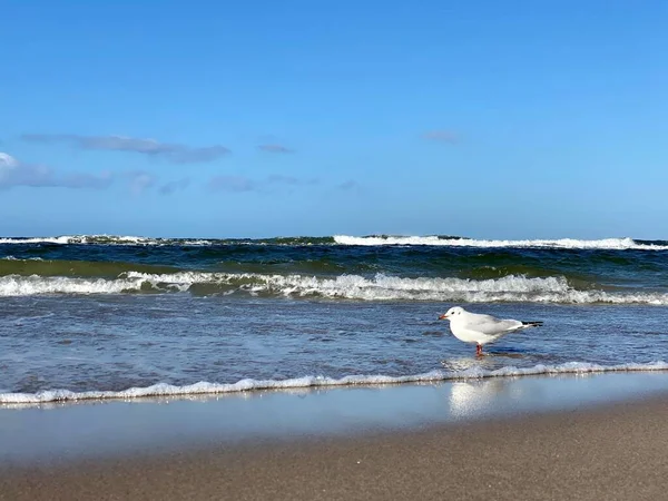 Κύματα Που Συντρίβονται Μια Μεγάλη Αμμώδη Παραλία Μια Ηλιόλουστη Μέρα — Φωτογραφία Αρχείου