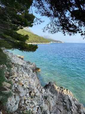 Belki Adriyatik Denizi. Kahverengi kayalık kıyılar.