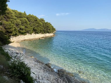 sahil belki Adriyatik denizi güzel kayalık kıyılar kahverengi renkli kozalaklı ağaçlar