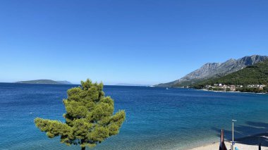 Belki Adriyatik Denizi, mavi gökyüzü, görünür adalar ve bitkiler