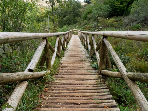 Malowniczy Most Lesie Dzikiej Przyrody — Zdjęcie stockowe
