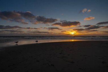 Güneş, baltık denizinde batarken, Almanya 'nın Sylt şehrinde sahilde yürüyen iki martı ile muhteşem bir gün batımı.