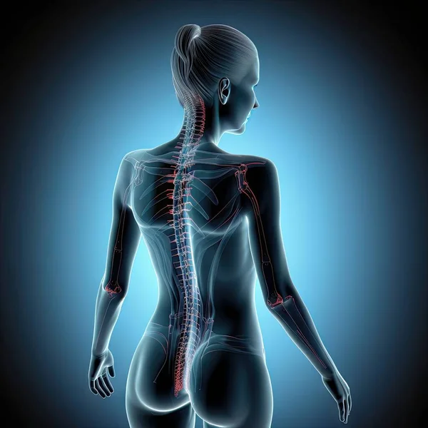 Female body from behind showing pain in back spine as medical concept
