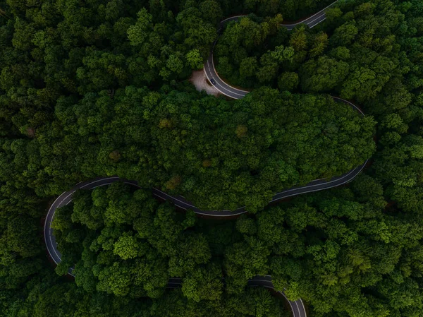 Berrak Orman Sarmal Yol Serene Havası Görünümü Stok Fotoğraf