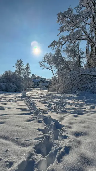 Sunshine Snowy Terrain Footpath — Stock Photo, Image