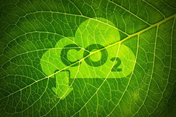Co2 Climate Change Concept Leaf — Stock Photo, Image