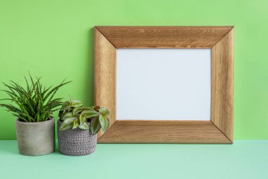 Ahşap çerçeve ve ev bitkilerinin maketi yeşil arka planda Tradescantia zebrina ve sansevieria