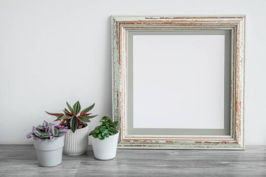 Ahşap fotoğraf çerçevesi ve ev bitkileri, gri bir masa arkasında Tradescantia ve Peperomia rosso.