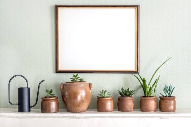 Mock up photo frame and variety of succulent home plants on a white shelf. clipart