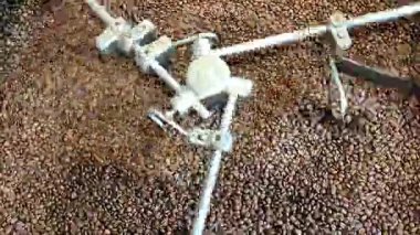 Kahve kızartma makinesi kavrulmuş kahve çekirdeklerini aktif olarak karıştırıyor, dönüşüm sürecini vurguluyor, zengin dokular ve renkler kahve severler için davetkar bir ortam yaratıyor.