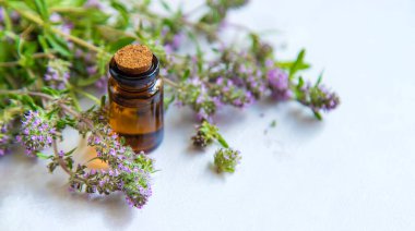 Şişede kekik yağı olması lazım. Seçici odaklanma. Spa.