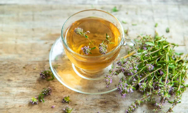 stock image Thyme tea in a cup. Selective focus. Food.