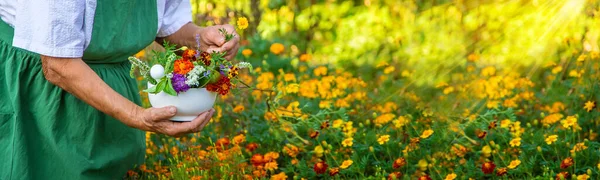 女性は薬草や花を収集します 選択的フォーカス — ストック写真