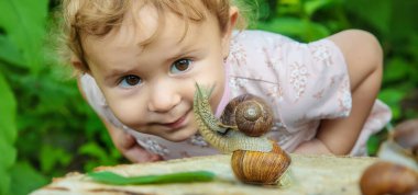 The child examines the snails on the tree. Selective focus. Kid. clipart