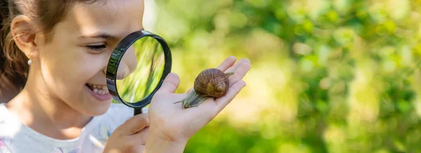 Child Examines Snails Tree Selective Focus Nature — Stock Photo, Image