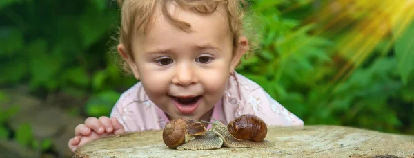 小孩检查树上的蜗牛 有选择的重点 — 图库照片