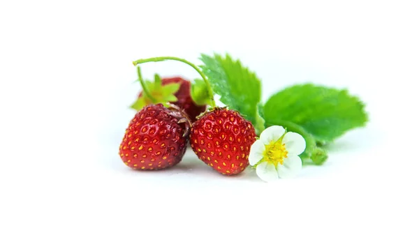 Aardbeien Isoleren Witte Achtergrond Selectieve Focus Voedsel — Stockfoto