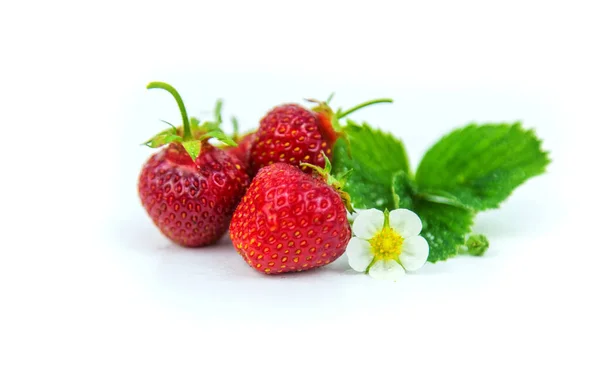 Erdbeere Isolieren Auf Weißem Hintergrund Selektiver Fokus Lebensmittel — Stockfoto