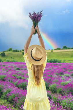 Lavanta tarlasında güzel bir kadın. Seçici odaklanma. Doğa.