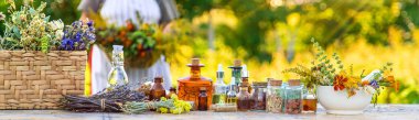 Grandmother makes tinctures from medicinal herbs. Selective focus. People.