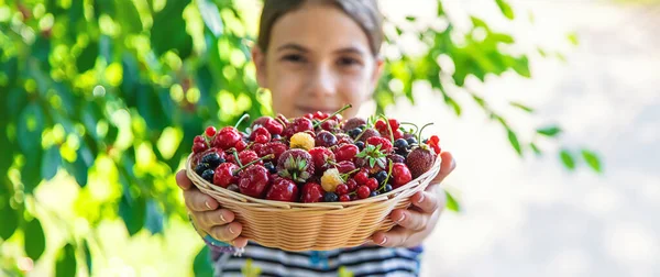 Child Eats Berries Garden Selective Focus Kid — Stok fotoğraf