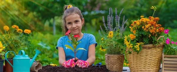 Child Planting Flowers Garden Selective Focus Kid — Stock Fotó