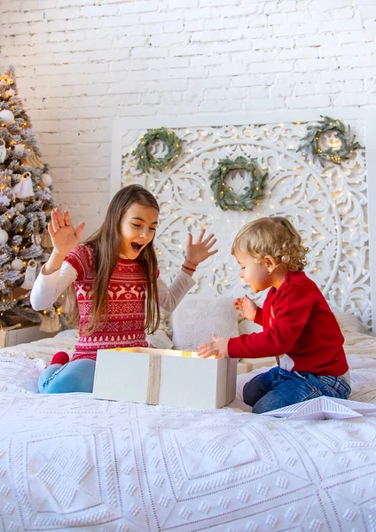 Çocuklar ağacın altındaki Noel hediyelerini açarlar. Seçici odaklanma. Çocuk.