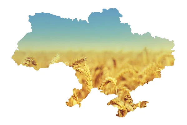 stock image Ukraine background map field wheat. Selective focus. Nature.