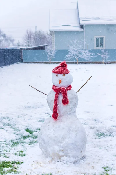Снеговик Зимой Дворе Выборочный Фокус Природа — стоковое фото