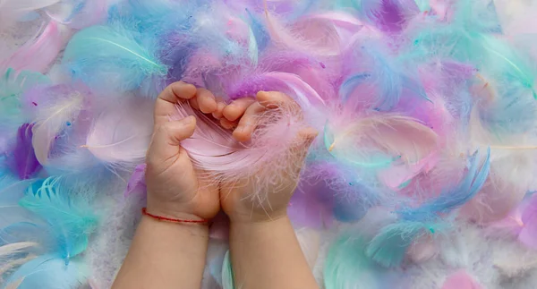 beautiful multi-colored feathers in the hands of a child. selective focus. Kid.