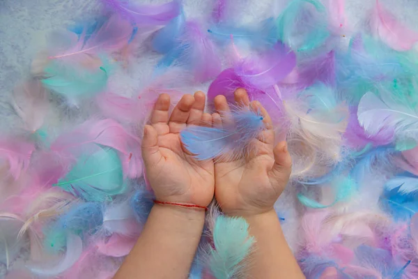beautiful multi-colored feathers in the hands of a child. selective focus. Kid.