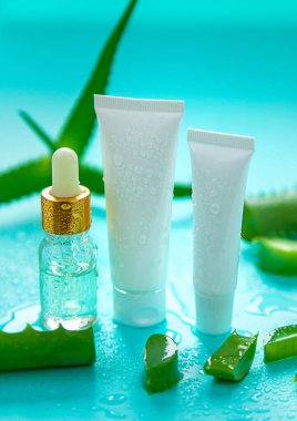 Aloe vera cosmetics and medicine. Selective focus. Nature.