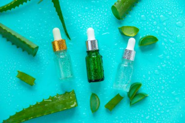 Aloe vera cosmetics and medicine. Selective focus. Nature.