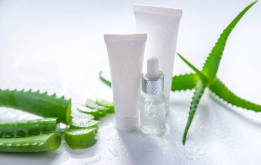 Aloe vera cosmetics and medicine. Selective focus. Nature.